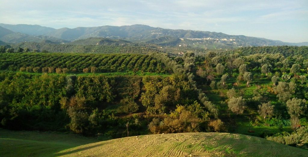 panorama azienda agricola Romano Antonio